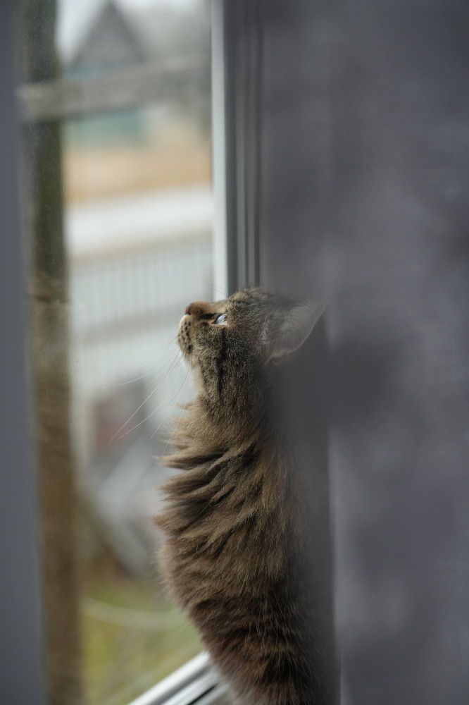 Photograph by Olesya Vladimirova