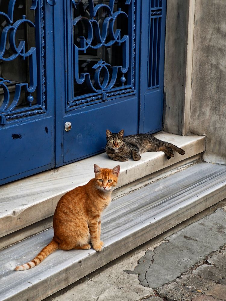 Photograph by Igor Chechin