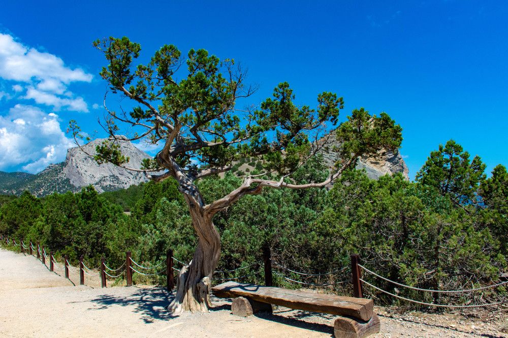 Photograph by Елена Богдан