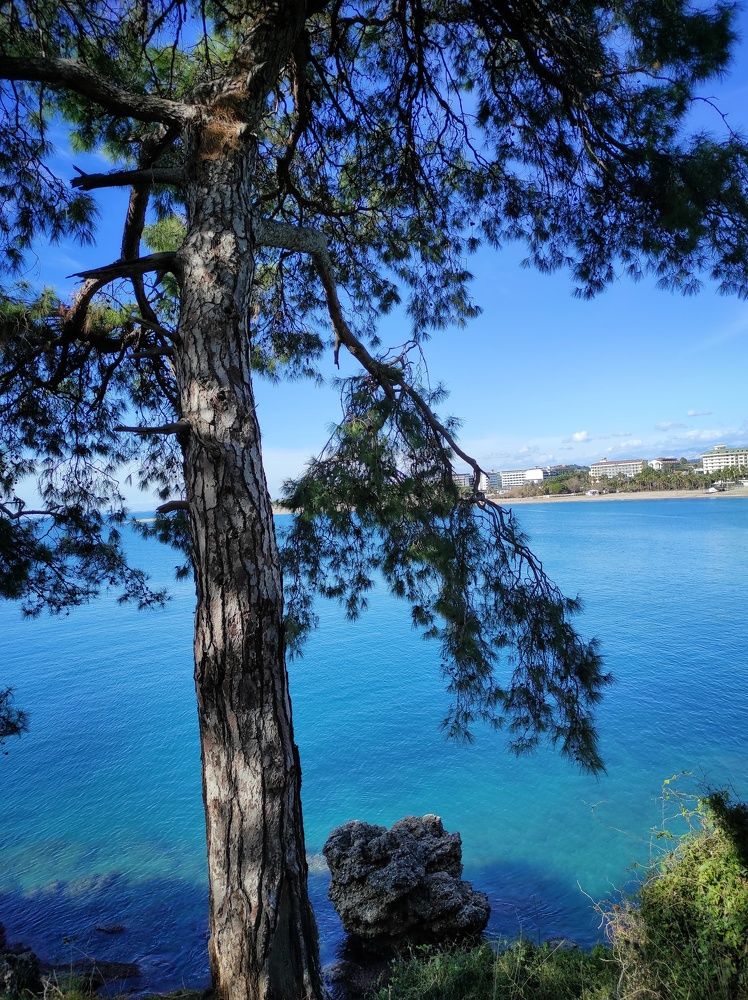 Photograph by Наталья Рау