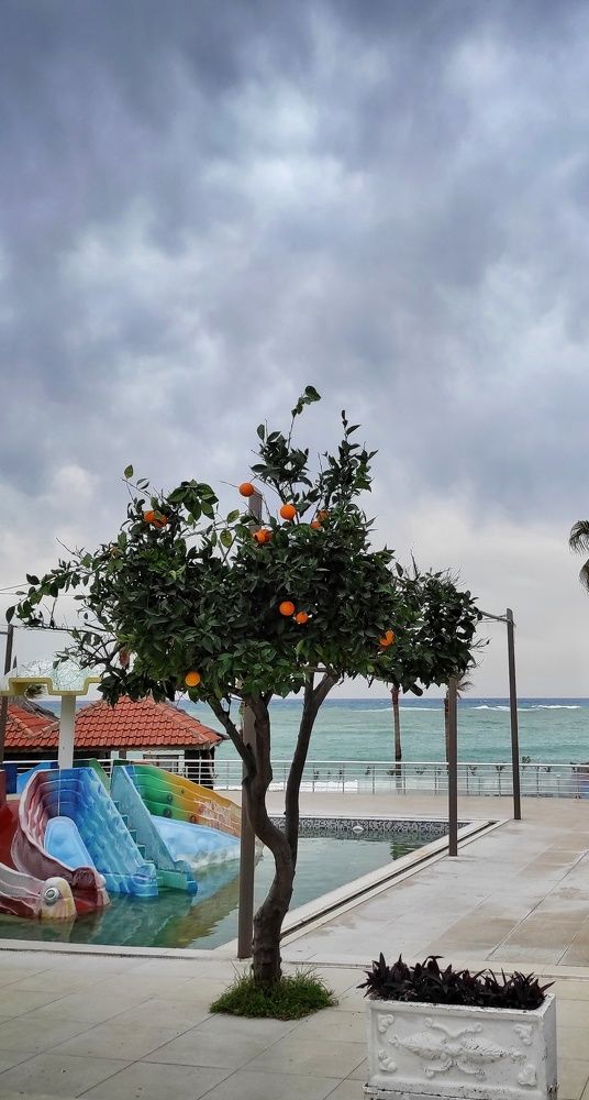 Photograph by Наталья Рау