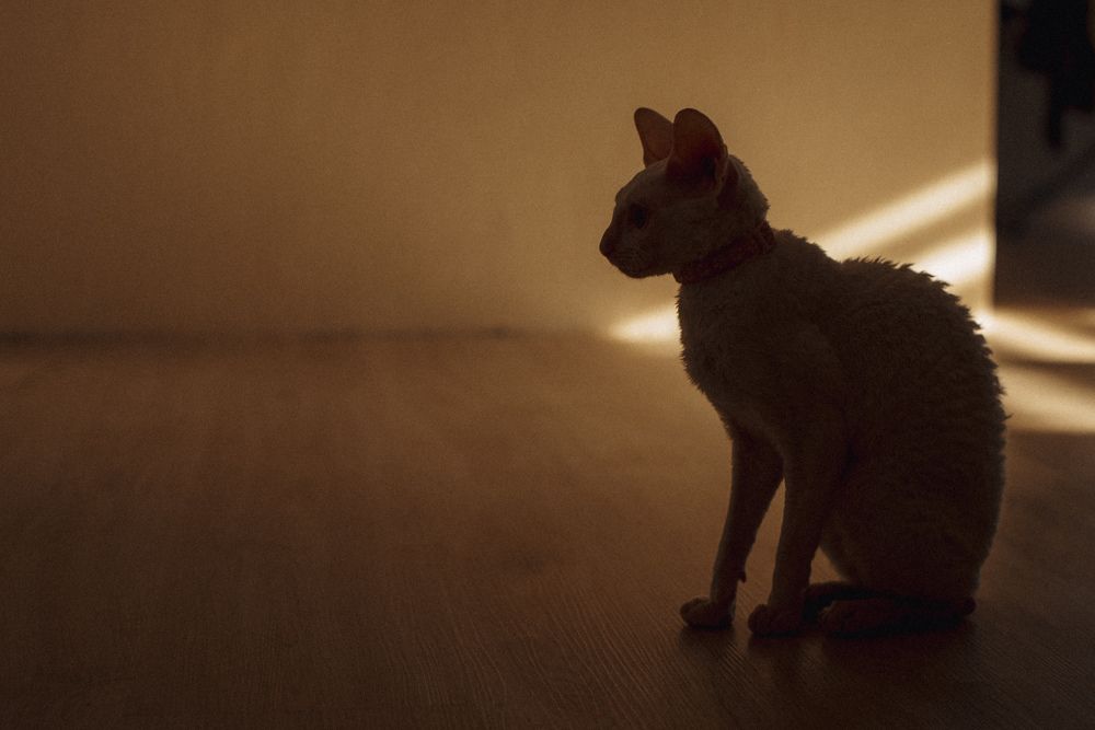 Photograph by Анна Бобкова