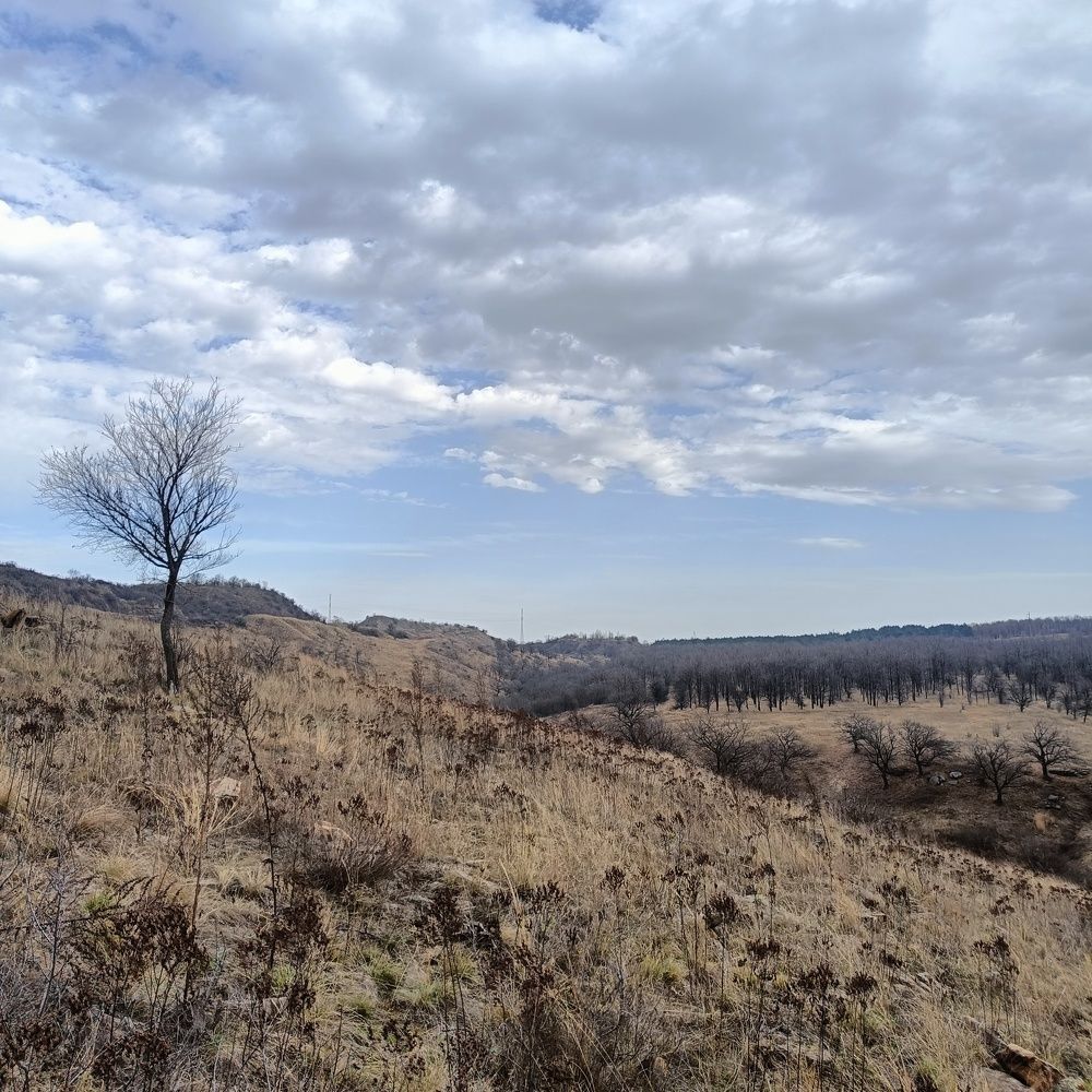 Photo #10735774
