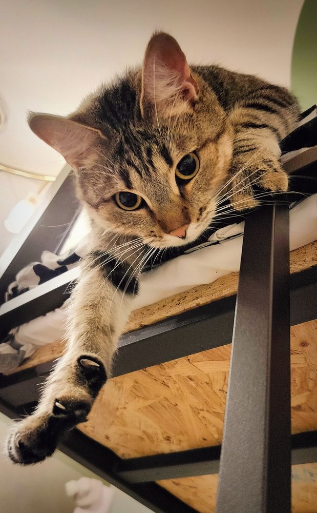 Photograph by Людмила Ваганова