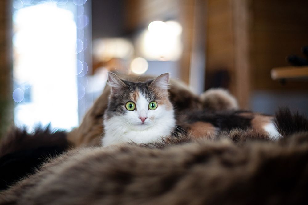 Photograph by Антон Бабичев