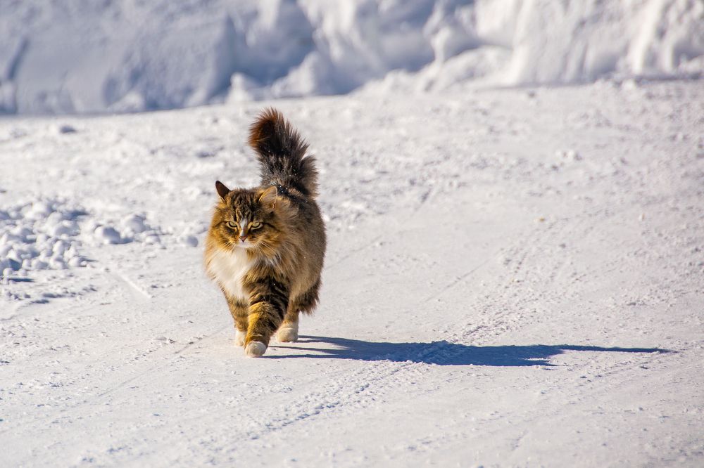 Photograph by Антон Бабичев