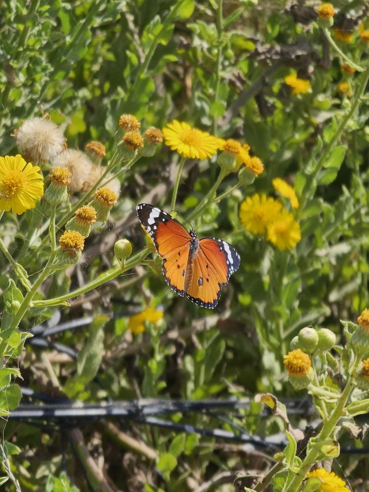 Фотография автора Oksana Podgorodetska