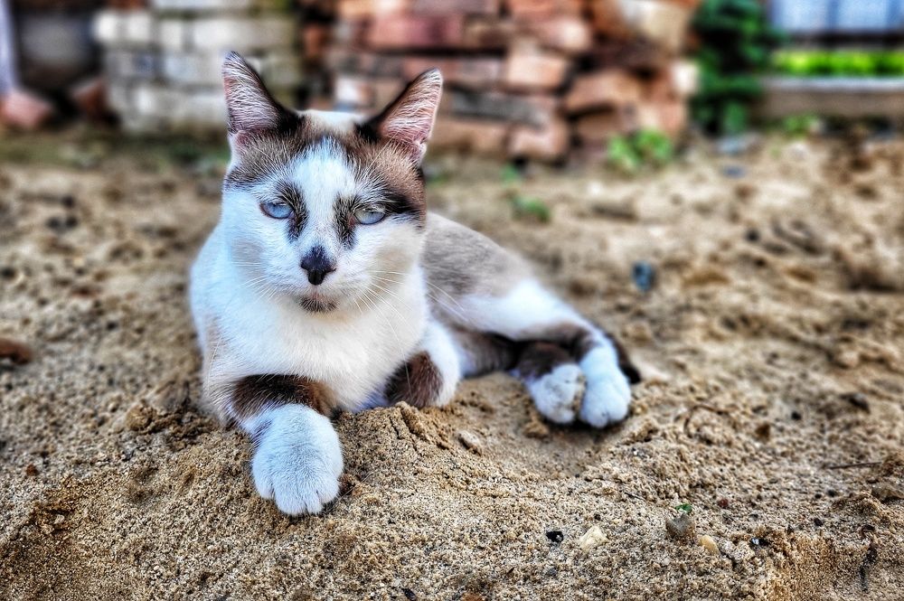 Photograph by Сергей Назаредский