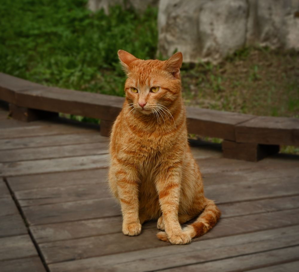 Photograph by Inna Ivanova