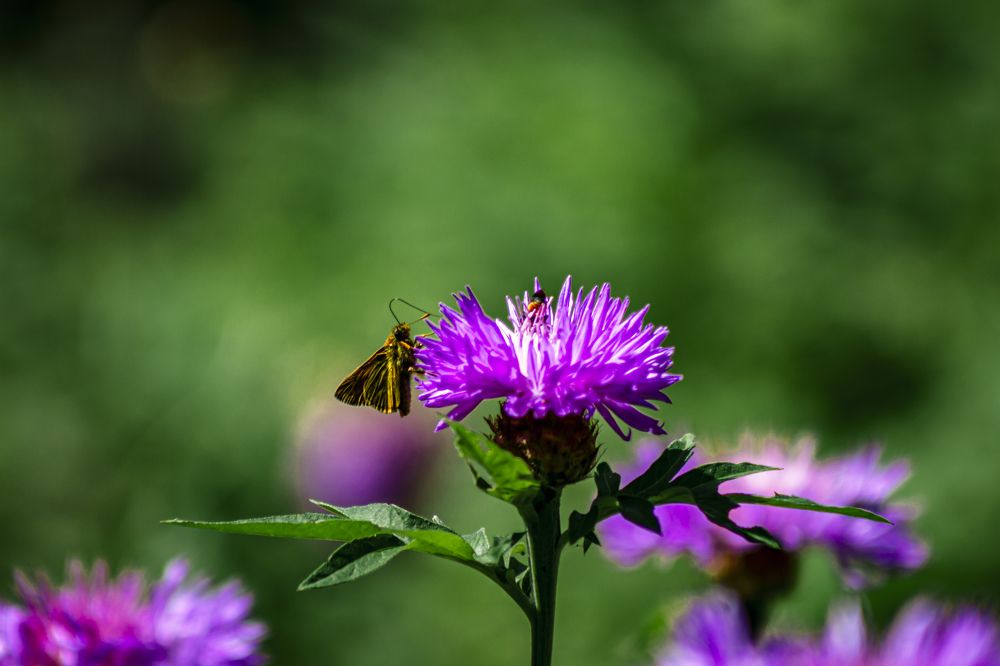 Photograph by Илья Юриков