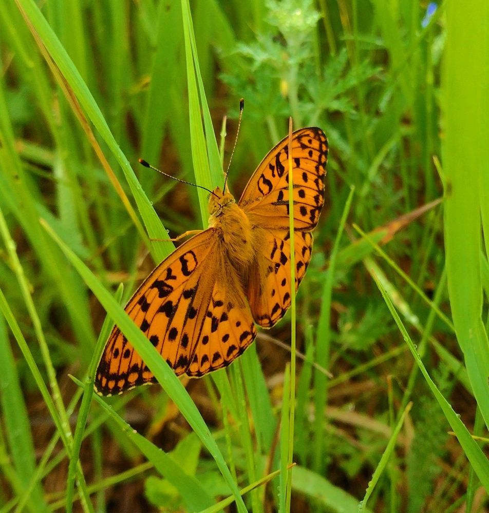 Photograph by Николай Абакумов