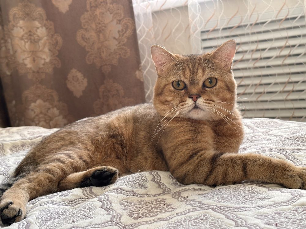 Photograph by Людмила Якурнова