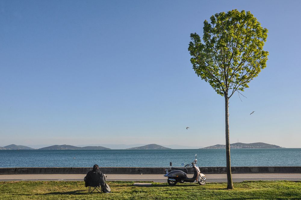 Фотография автора Ковяк Сергей Васильевич