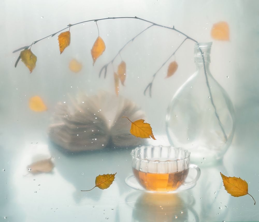 Photograph by Тришина Галина