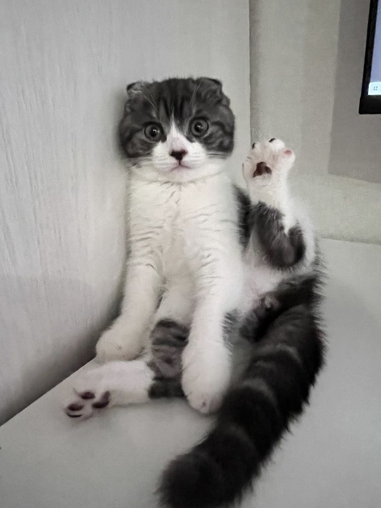 Photograph by Людмила Якурнова