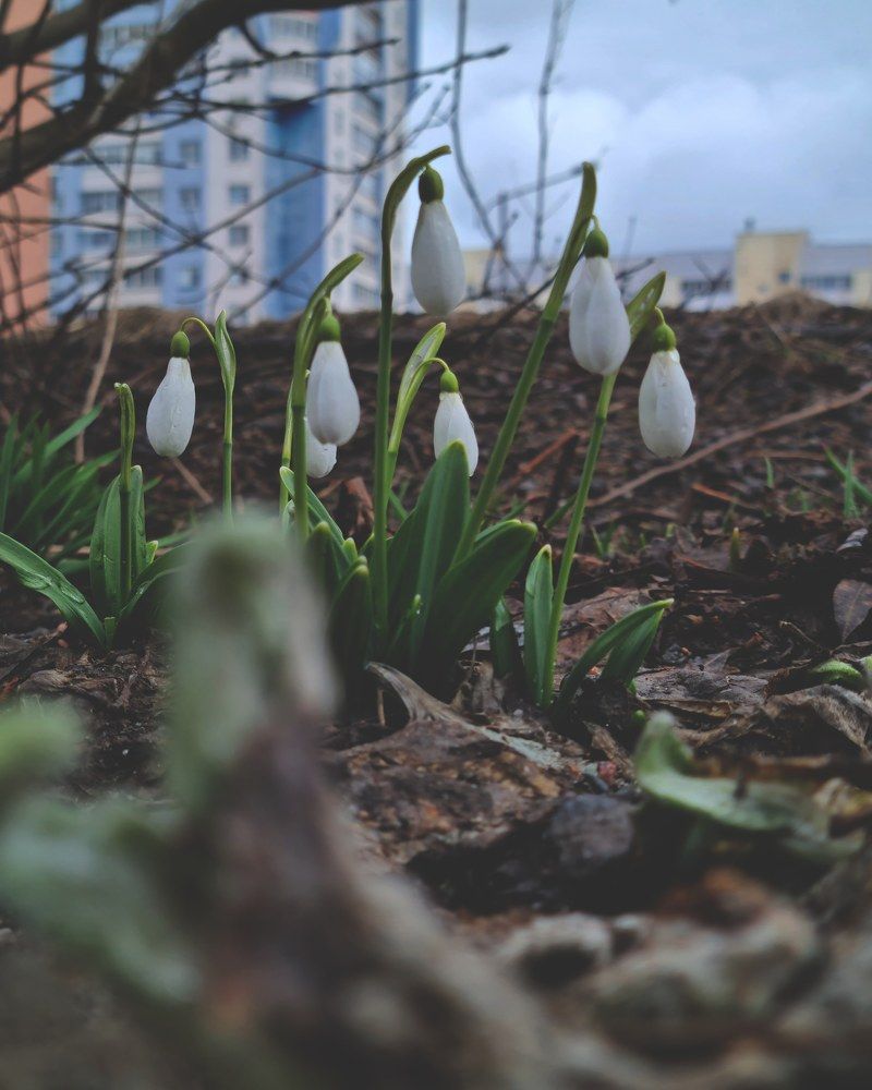 Фотография автора Alex andr