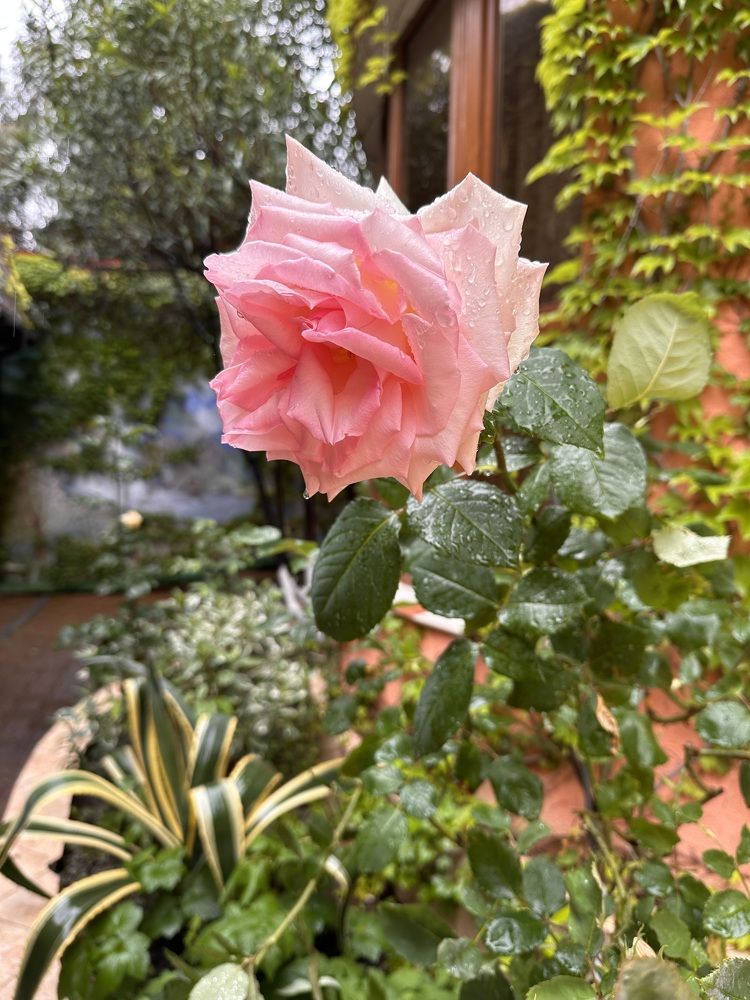 Photograph by Людмила Якурнова