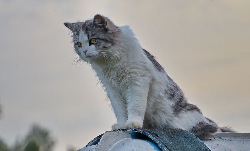 Photograph by Сергей Булат