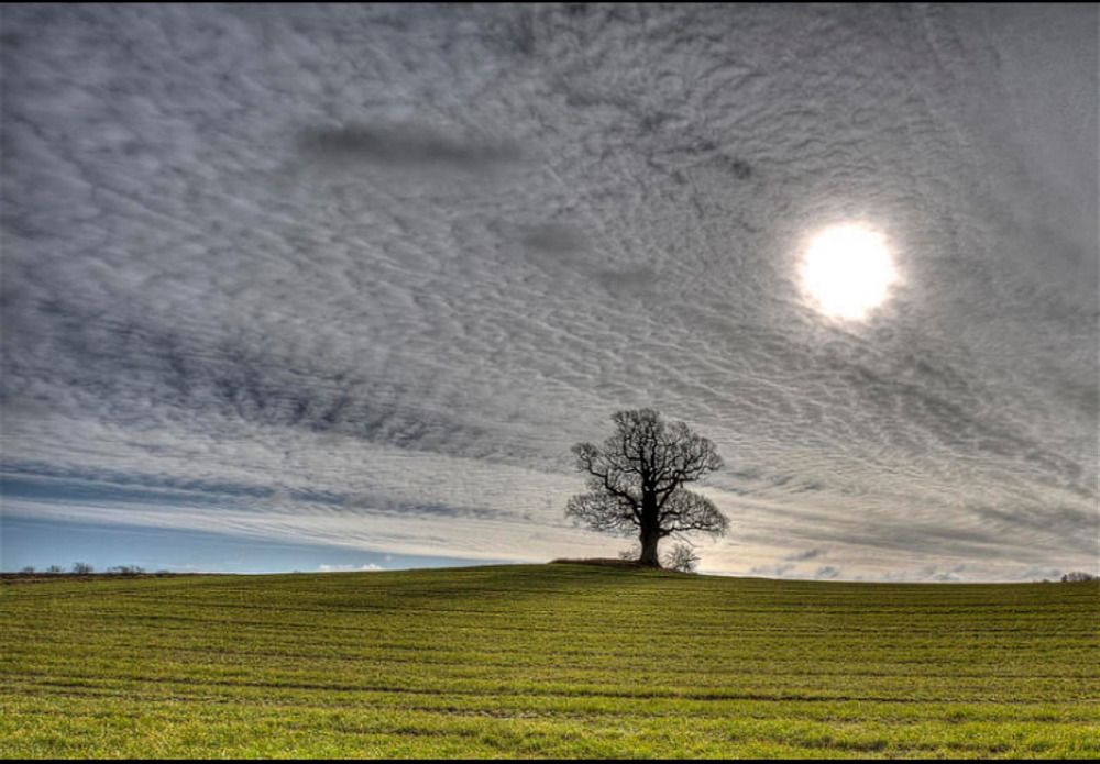 Photograph by m farzolahi