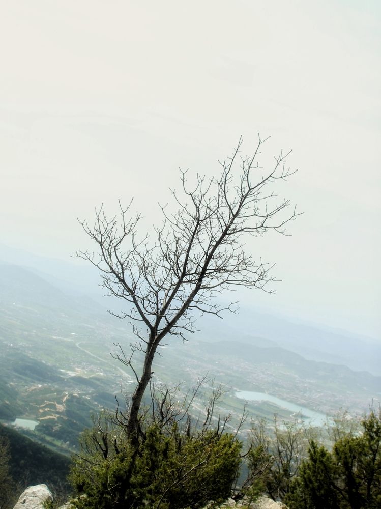 Photograph by Iryna Shyshkina