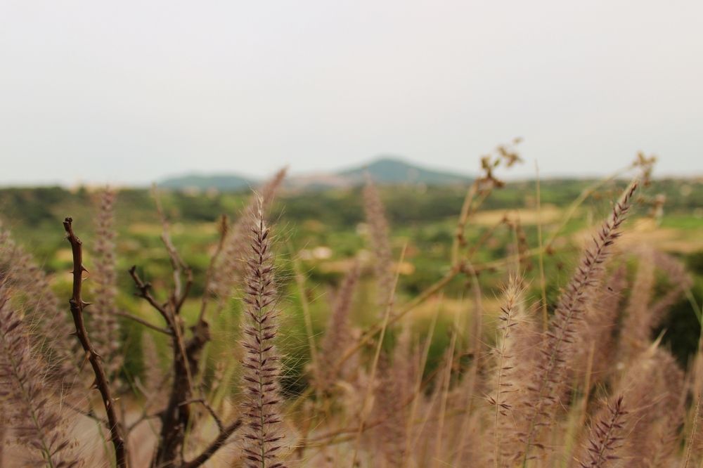 Photograph by Iryna Shyshkina