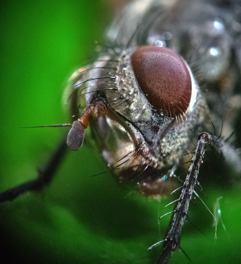 Photograph by Сергей Булат