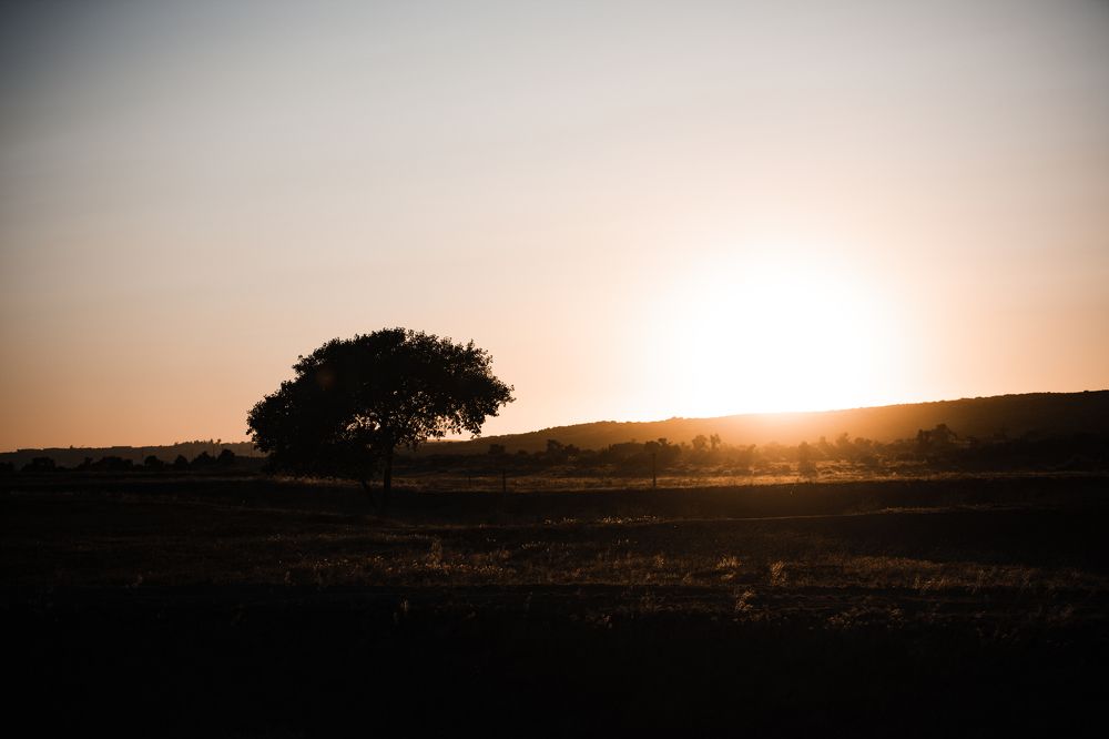 Photograph by Austin Bueno