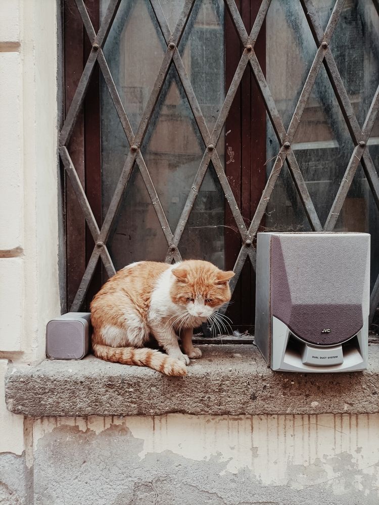 Photograph by Iryna Shyshkina