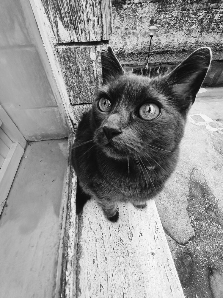 Photograph by Iryna Shyshkina