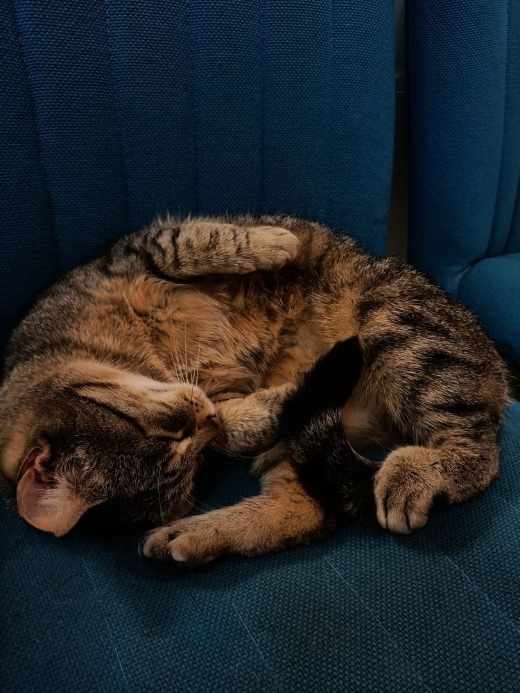 Photograph by Iryna Shyshkina