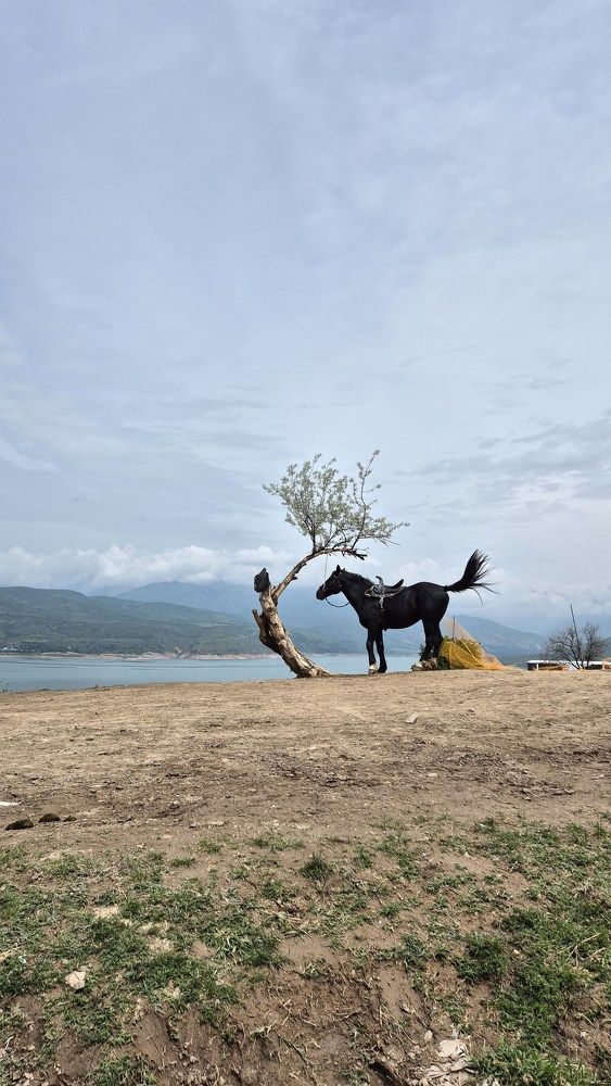 Photograph by Marina Kapstik