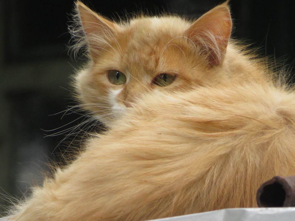 Photograph by Лариса Басова