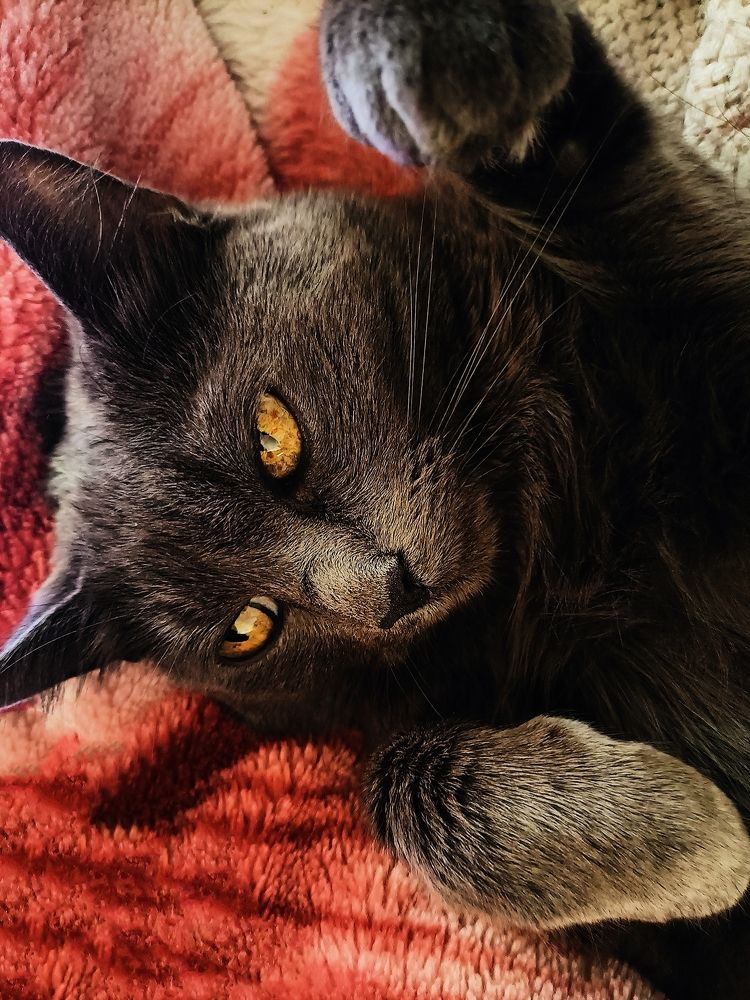 Photograph by Irina Shishkina