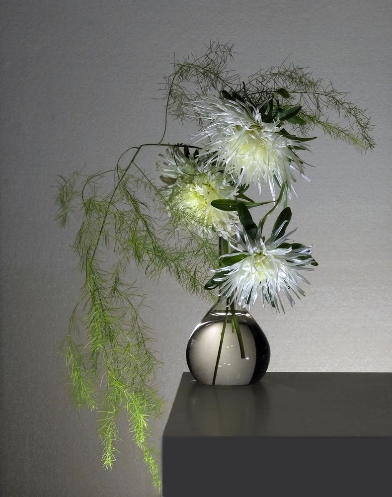 Photograph by Заболотская Ольга