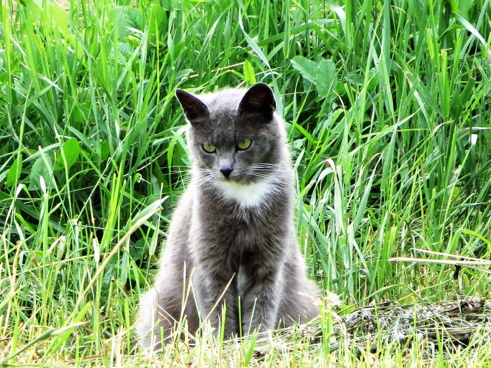 Photograph by Лариса Басова