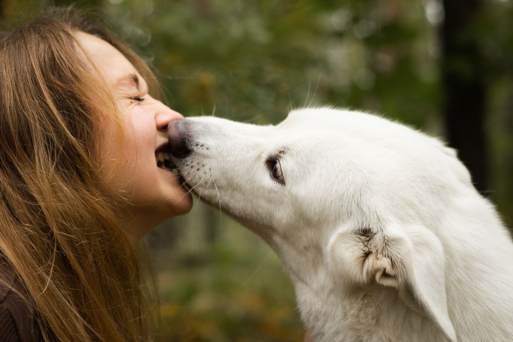 Photograph by Елена Павлова