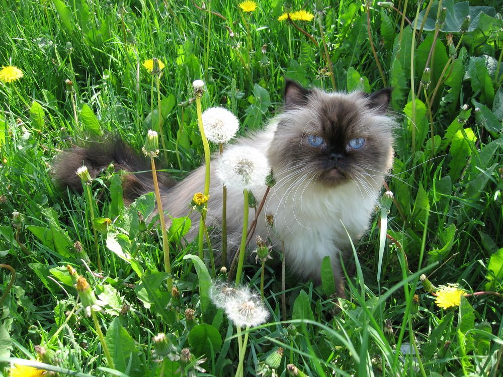 Фотография автора Марина Карасева