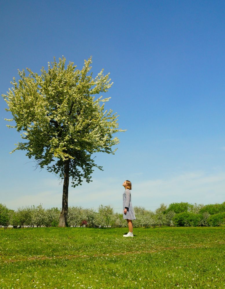 Photograph by Светлана Свешникова