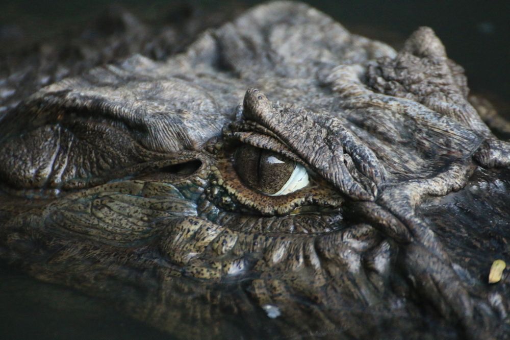 Photograph by Marie G