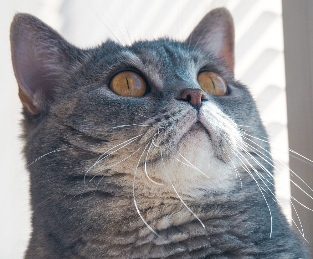 Photograph by Олег