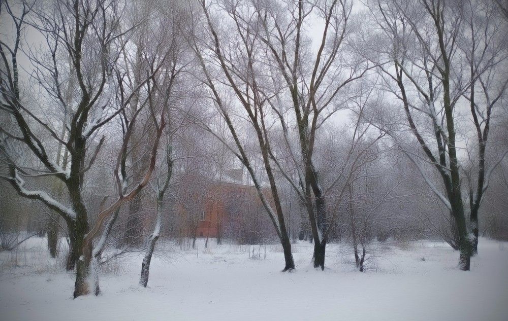 Photograph by Юлия Куликова