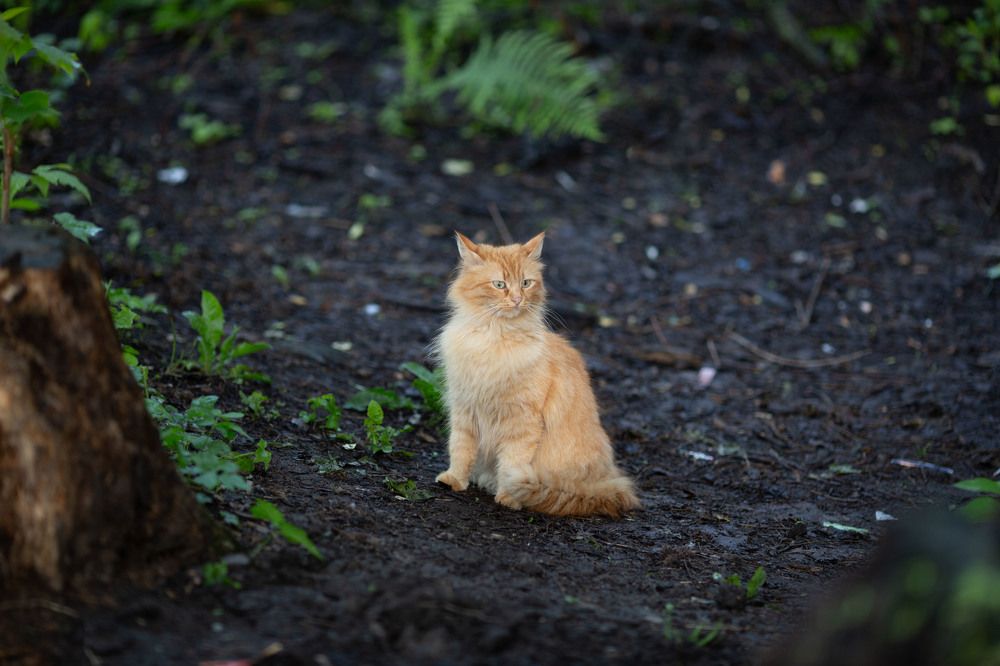 Photograph by Марина Сосновская