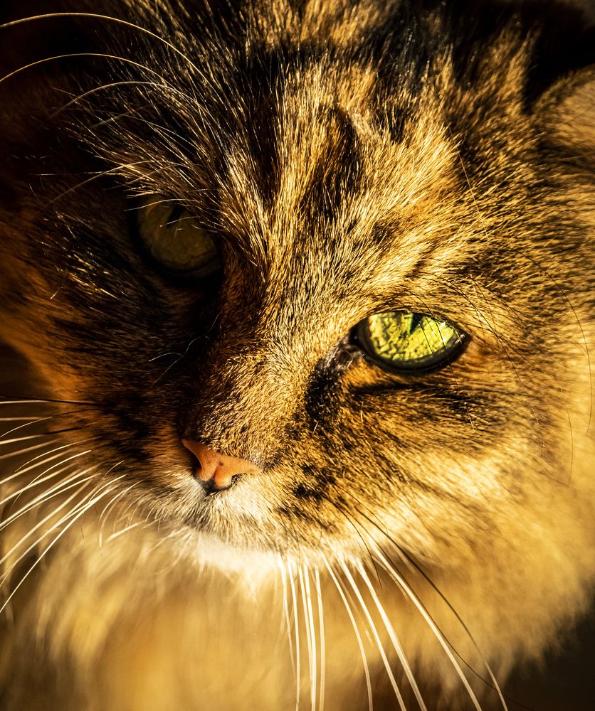 Photograph by Юлия Куликова