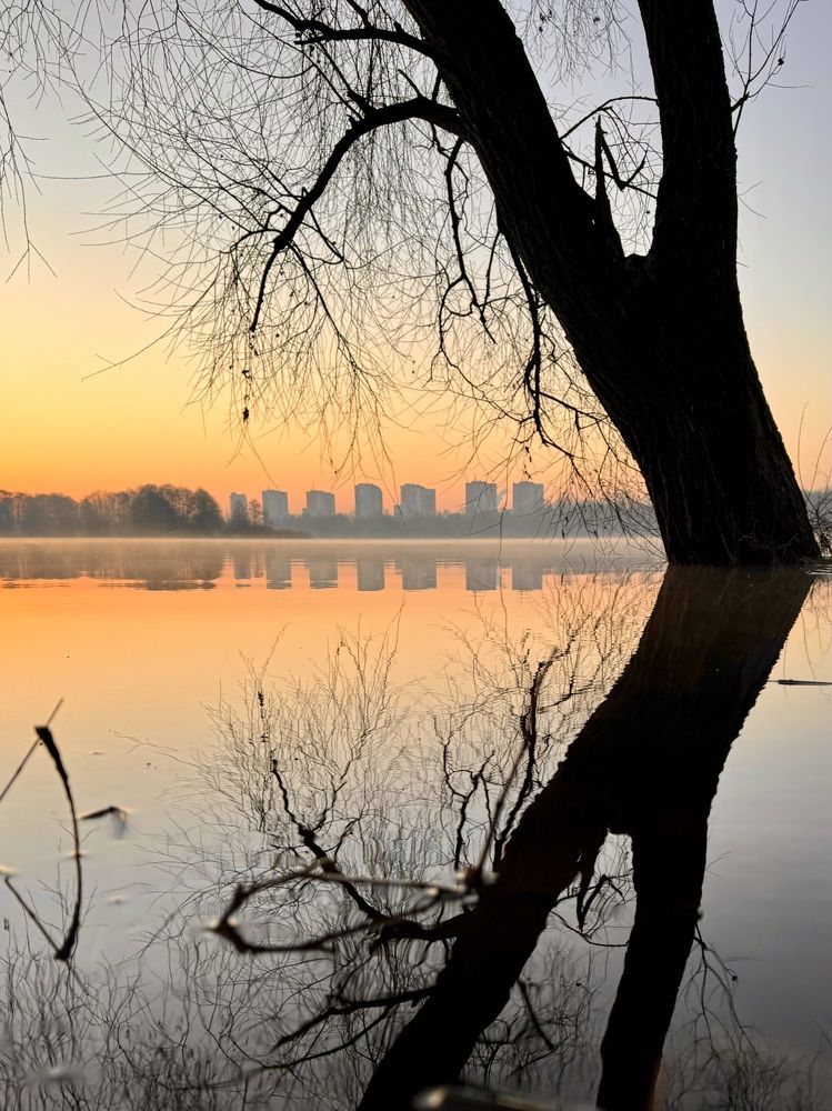 Фотография автора Светлана Герасимук