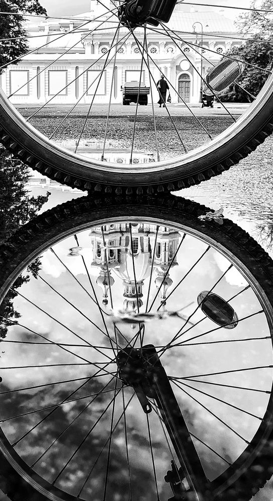 Поддержка сына.