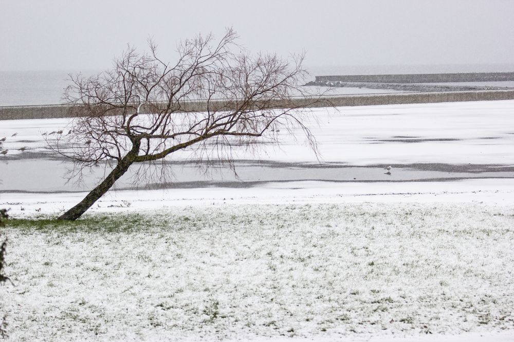 Photograph by Nataliia Nedelina