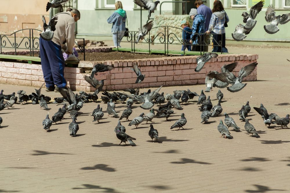 Фотография автора Вадим Лабитов