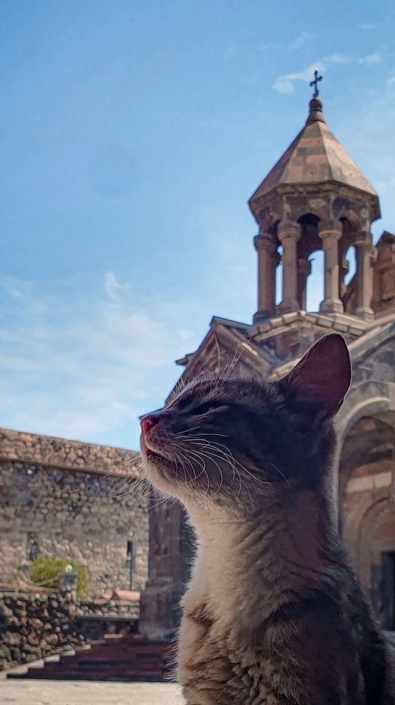 Photograph by Сергей Богданов