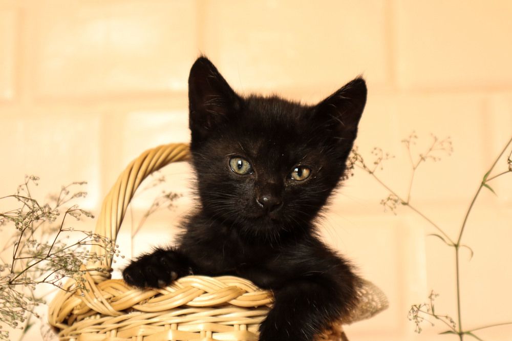 Photograph by Мария Самолевич