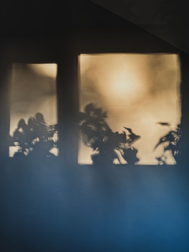 Photograph by Oxana Petlina